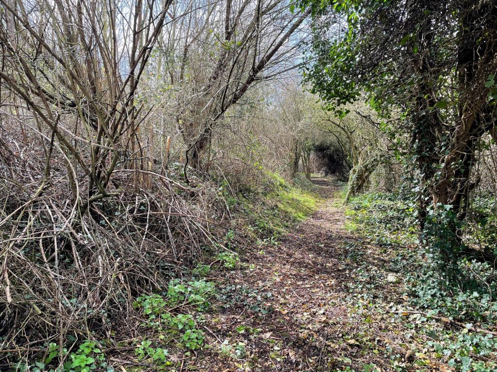 Lot: 62 - FREEHOLD PARCEL OF LAND - Footpath through the land at Tank Hill Road