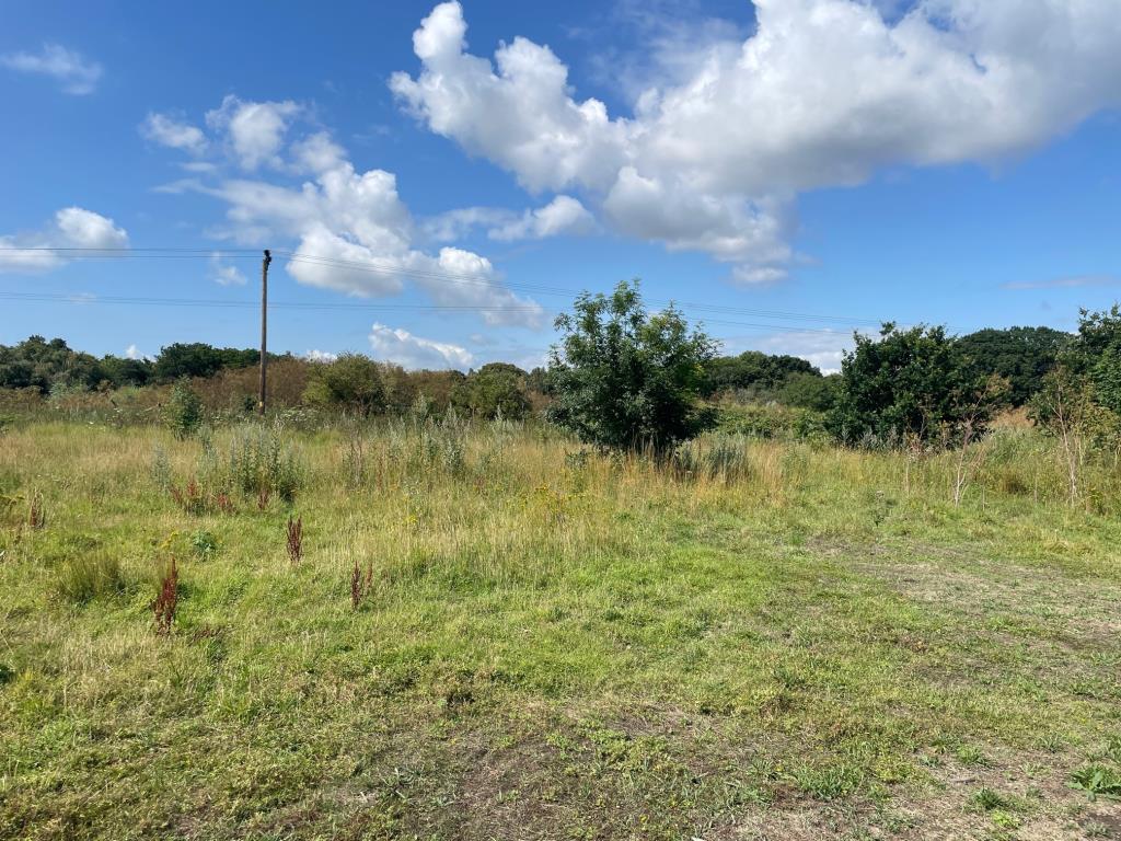 Lot: 134 - OVER 16 ACRES OF LAND INCORPORATING WOODLAND - General view of the site