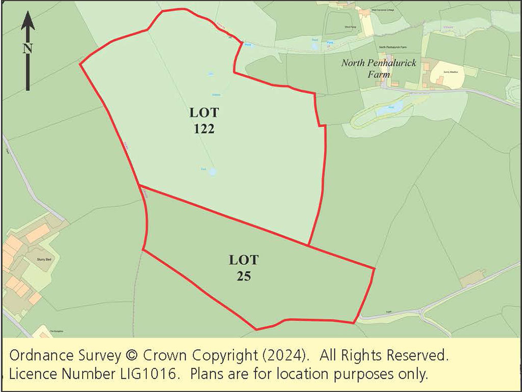 LOT - 122 AUCTION - 251 - 27 ACRES OF LAND IN RURAL LOCATION