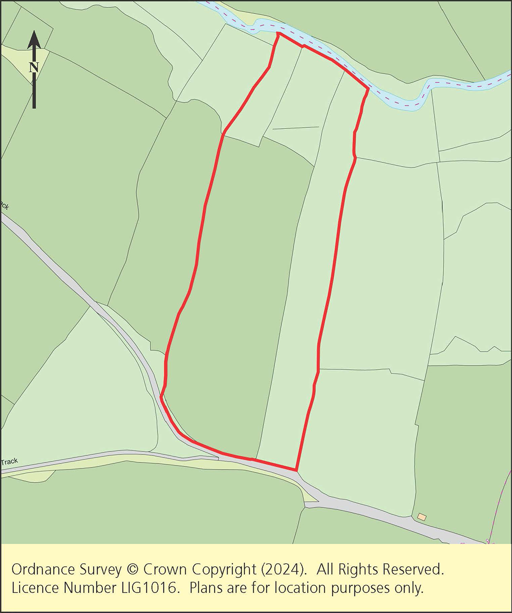 Lot: 139 - FREEHOLD LAND -