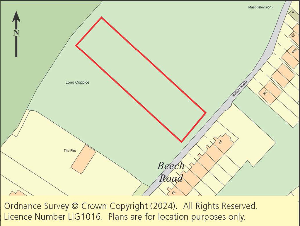 Lot: 172 - PARCEL OF WOODLAND -