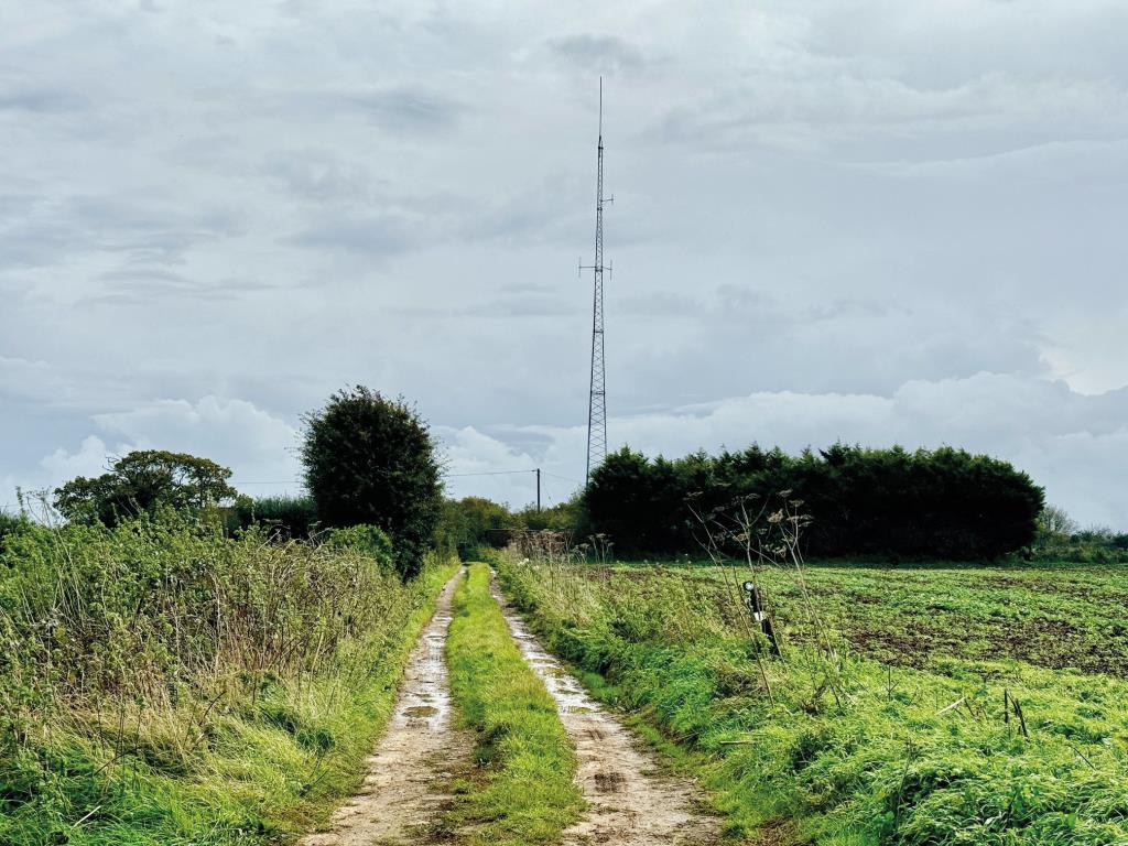 LOT - 125 AUCTION - 254 - MAST AND BUILDING