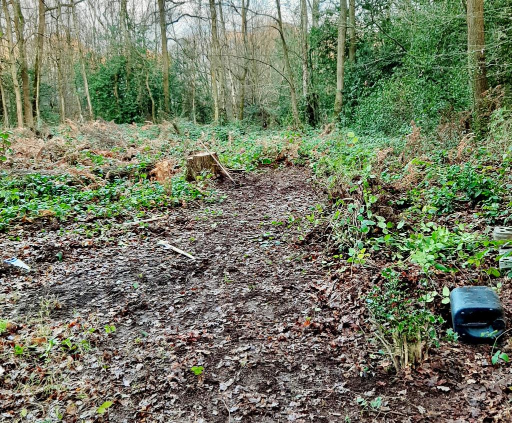 Lot: 52 - 0.4 ACRE PLOT - General view of the land