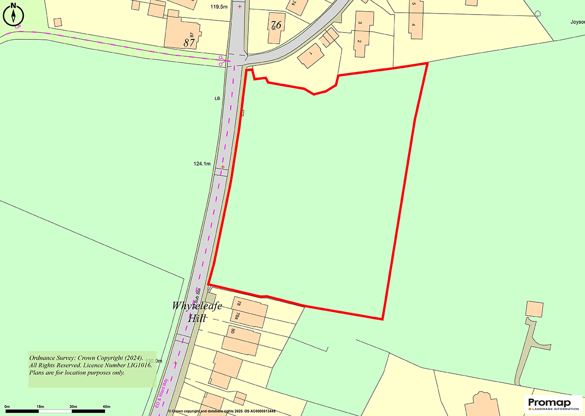 Lot: 41 - JUST OVER TWO ACRES OF WOODLAND WITH POTENTIAL - 