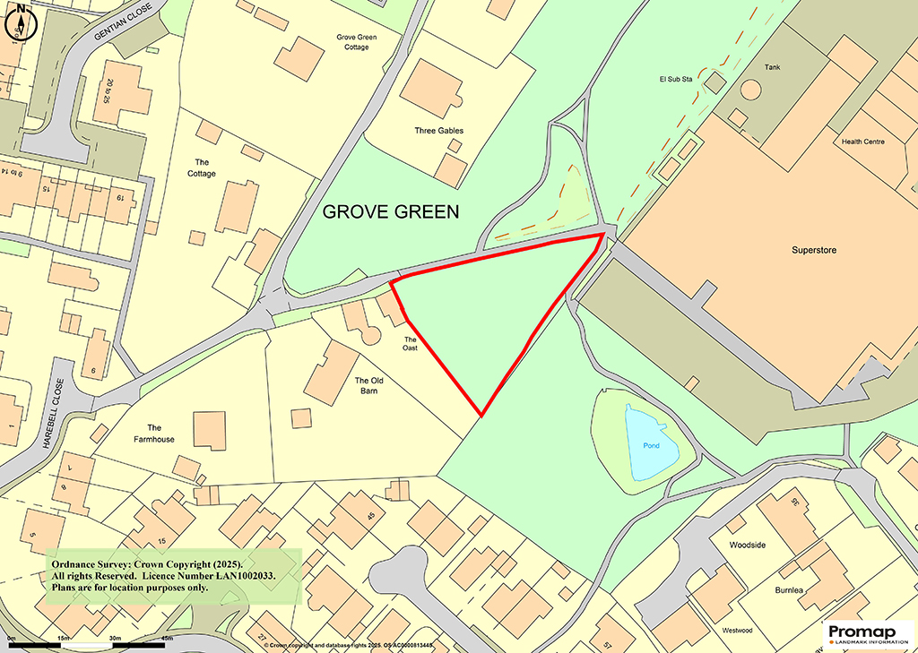 Lot: 41 - FREEHOLD WOODLAND -