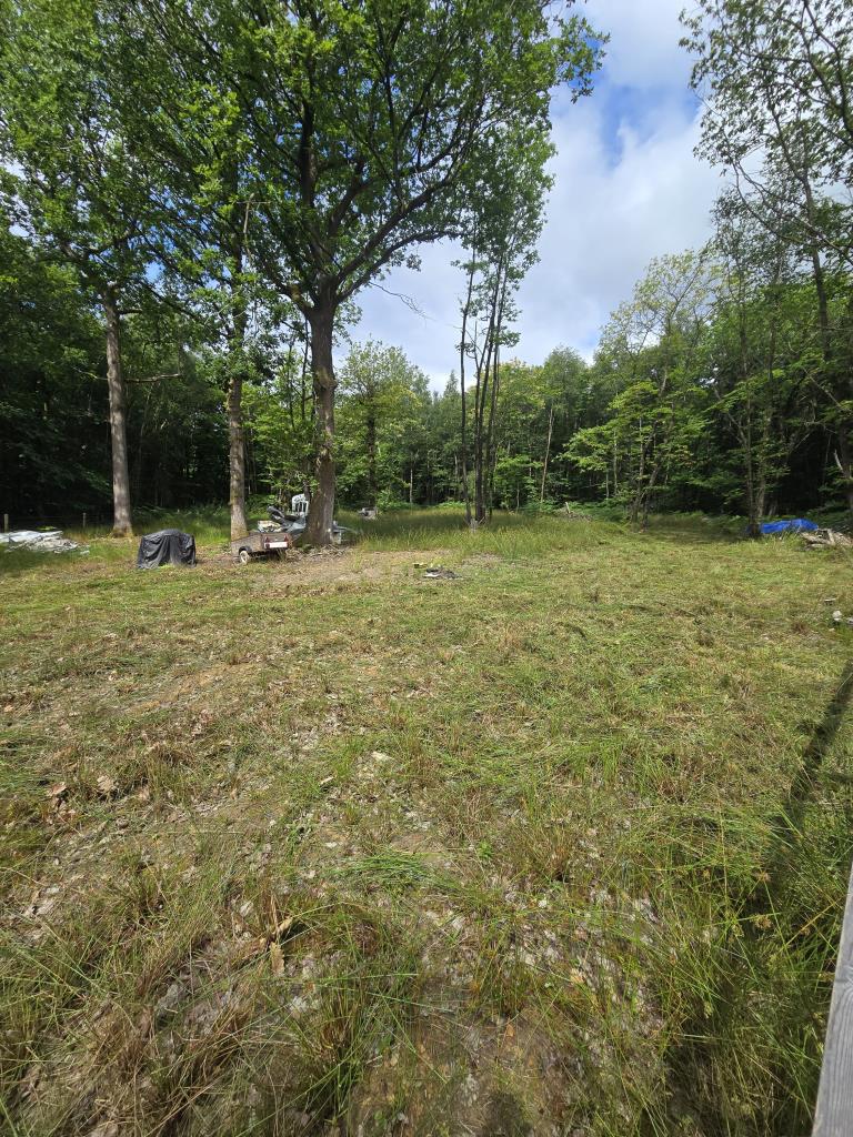 Lot: 105 - 0.69 ACRES OF WOODLAND WITH APPROVED LAWFUL DEVELOPMENT CERTIFICATE - Land