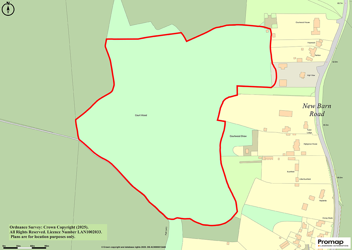 Lot: 2 - NEARLY 27 ACRES OF WOODLAND - 
