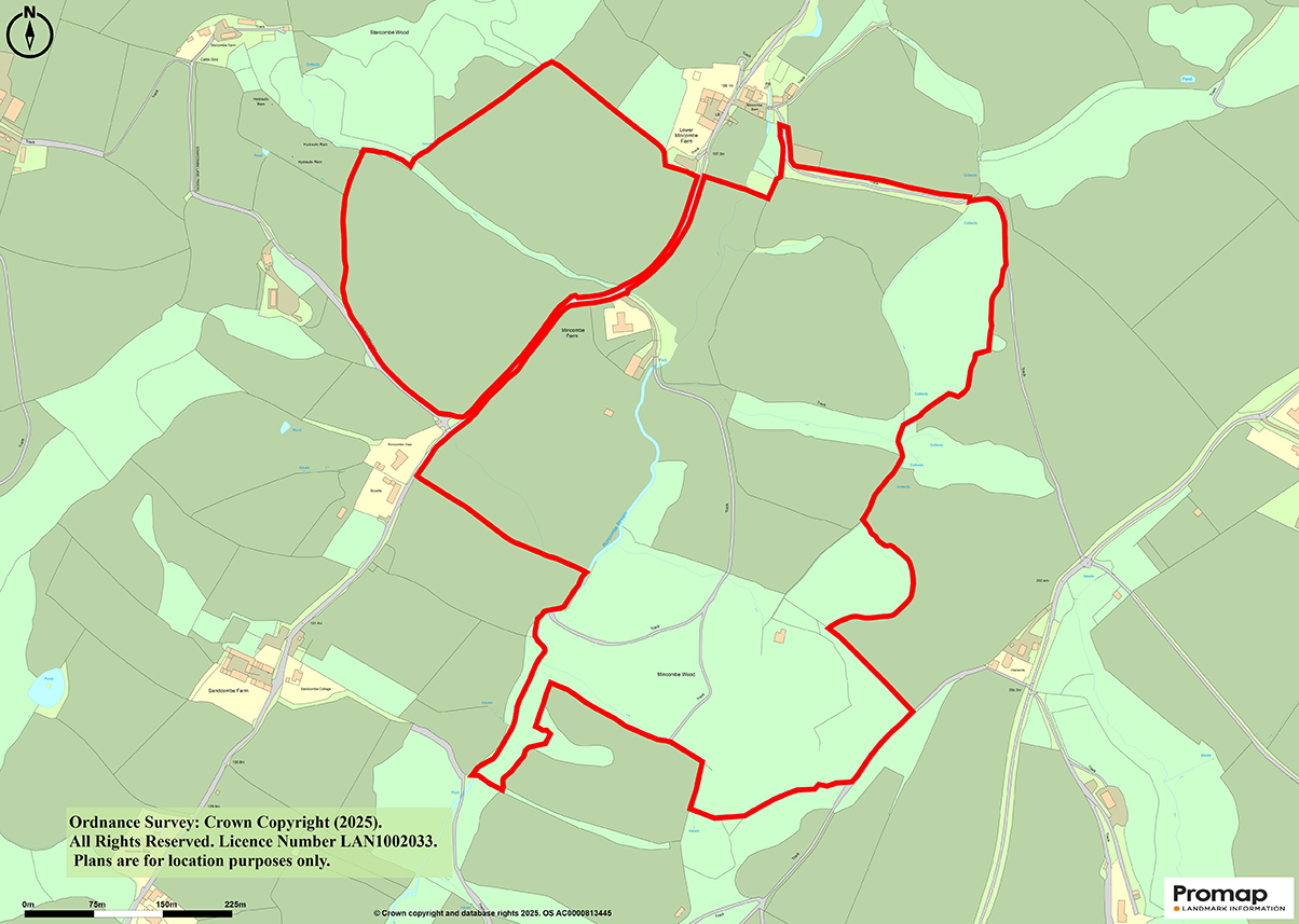 Lot: 26 - SMALL HOLDING OF APPROXIMATELY 86 ACRES OF PASTURE AND WOODLAND, DETACHED BUNGALOW PLUS TWO AGRICULTURAL BARNS -