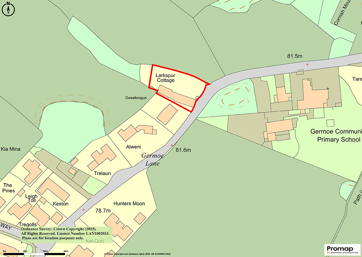 Lot: 109 - THATCHED DECEPTIVELY SPACIOUS DETACHED COTTAGE WITH GARDENS AND PARKING - 