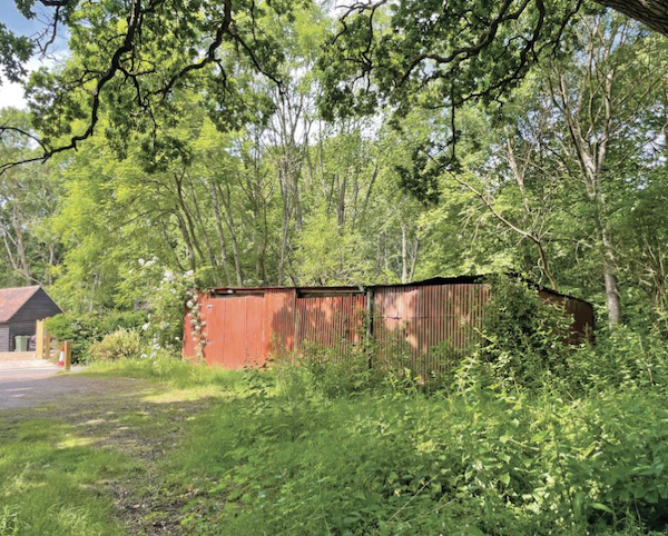 A corrugated metal outbuilding sits derelict among nettles and other foliage