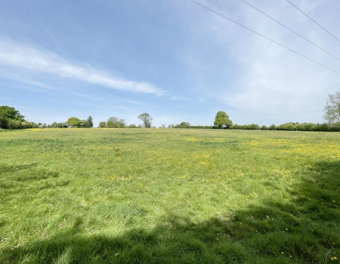 Large green field for sale